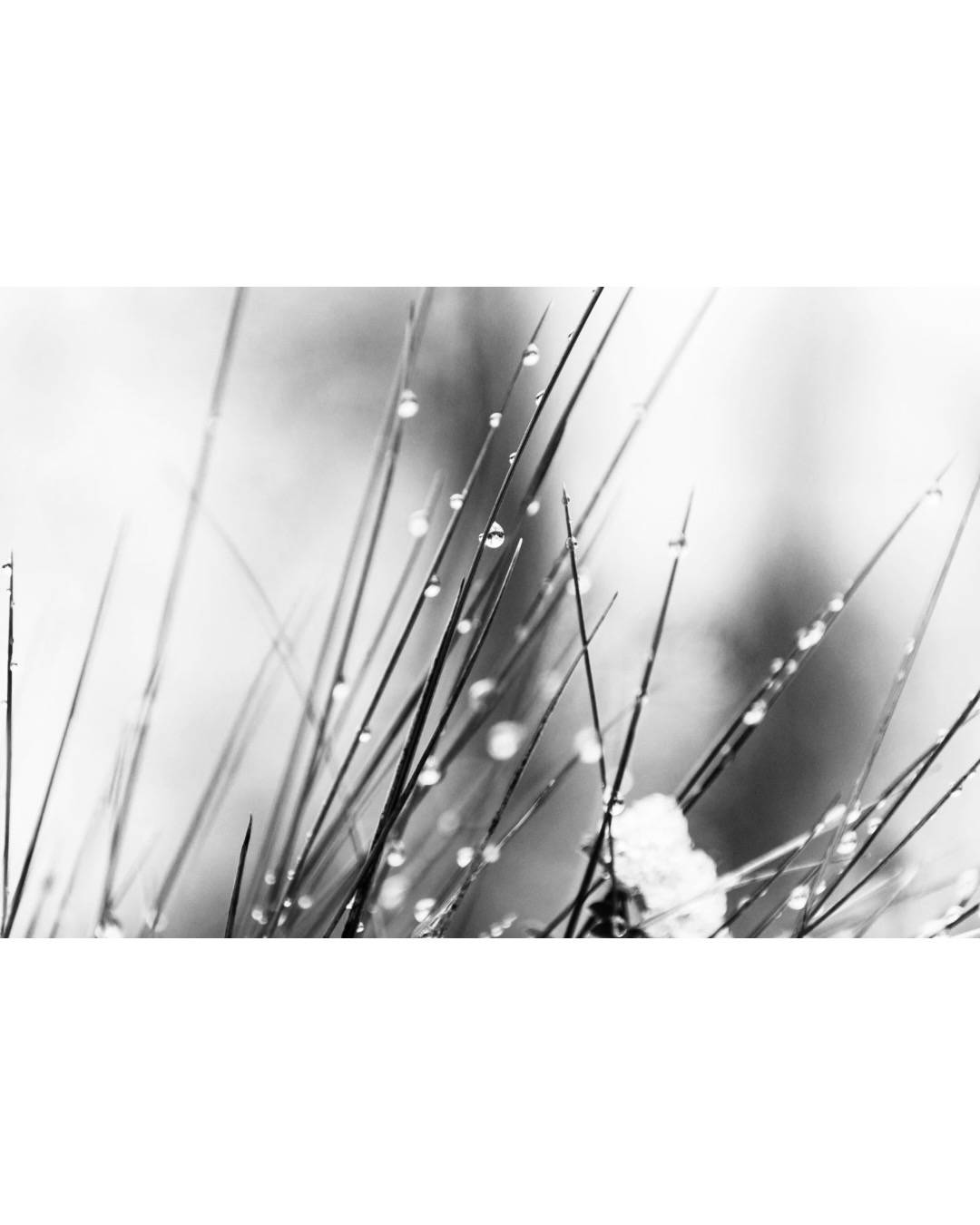 【重要】年末年始の発送およびカスタマーサポートについて